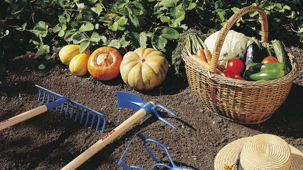 des plantes et fournitures pour votre jardin - Magasin vente directe pépinière Poulain 95 - Crédit Fotolia
